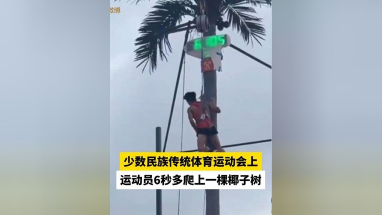 少数民族传统体育运动会上,运动员6秒多爬上一棵椰子树