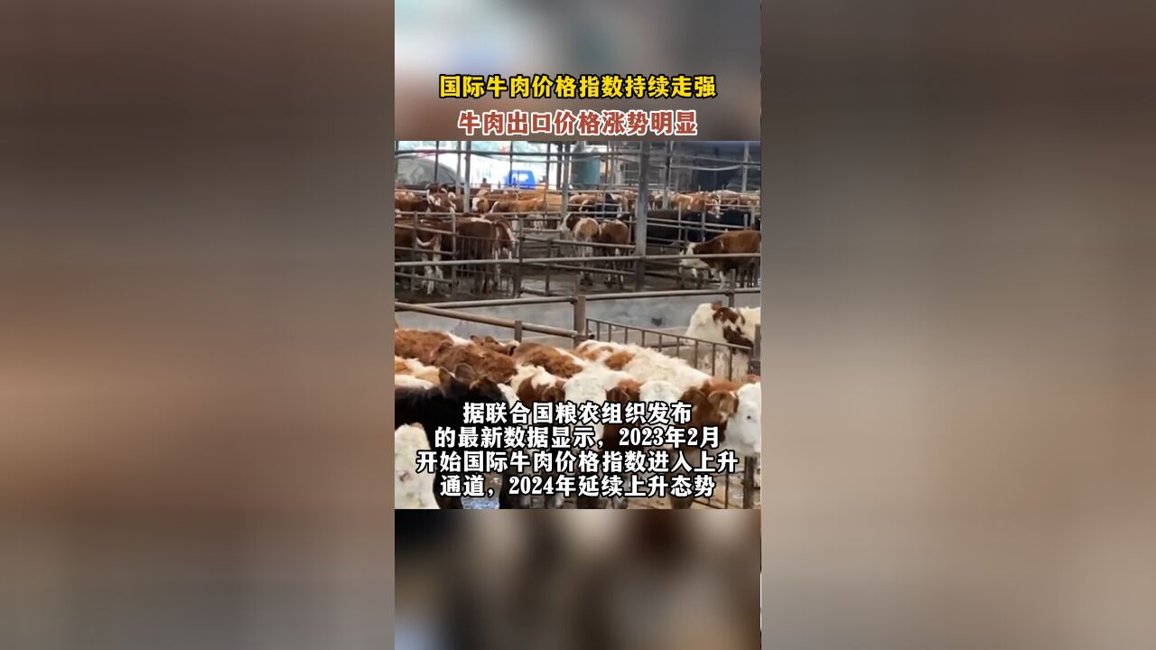 国际牛肉价格指数持续走强,牛肉出口价格涨势明显