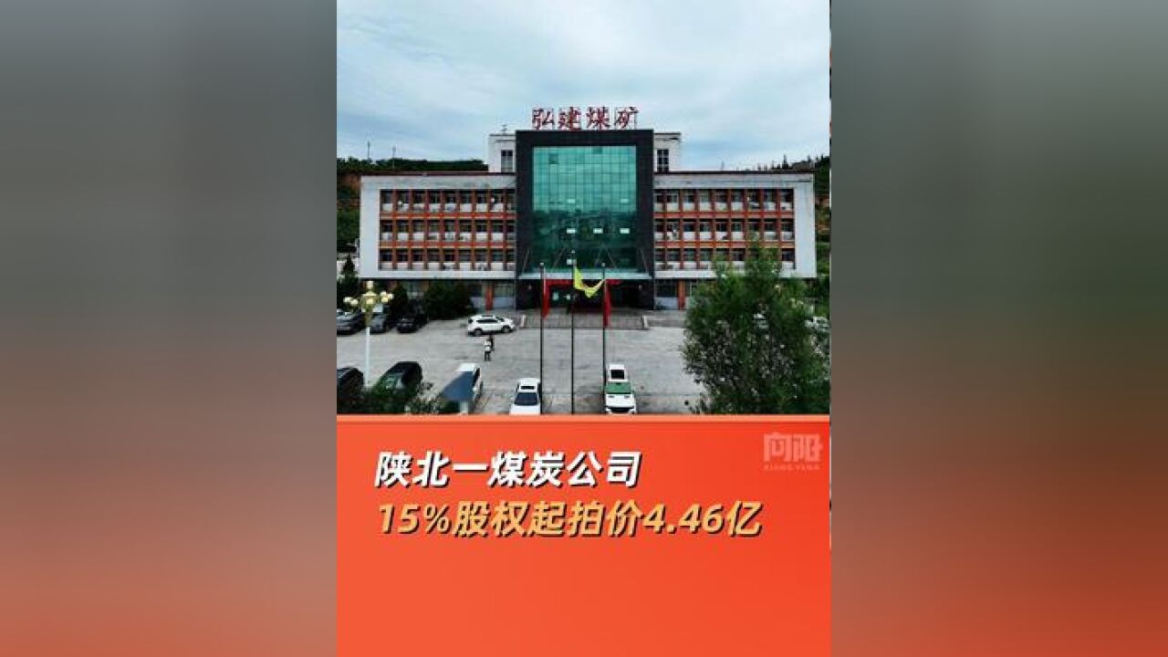 陕北一煤炭公司15%股权起拍价4.46亿