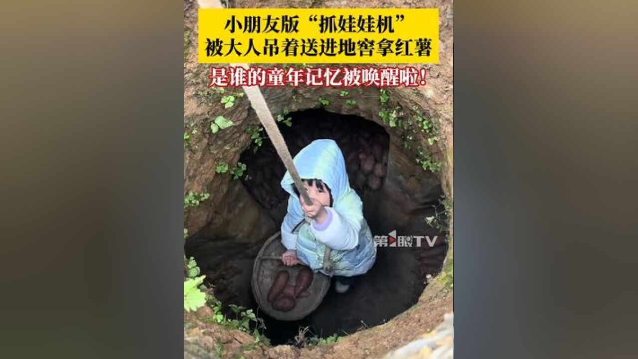 小朋友变身“抓娃娃机”,被大人吊着进地窖拿红薯,是谁的童年记忆被唤醒啦!