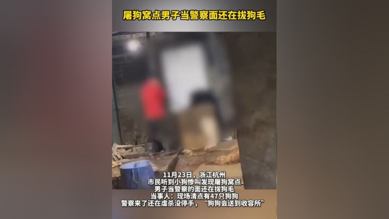 #屠狗窝点男子当警察面还在拔狗毛