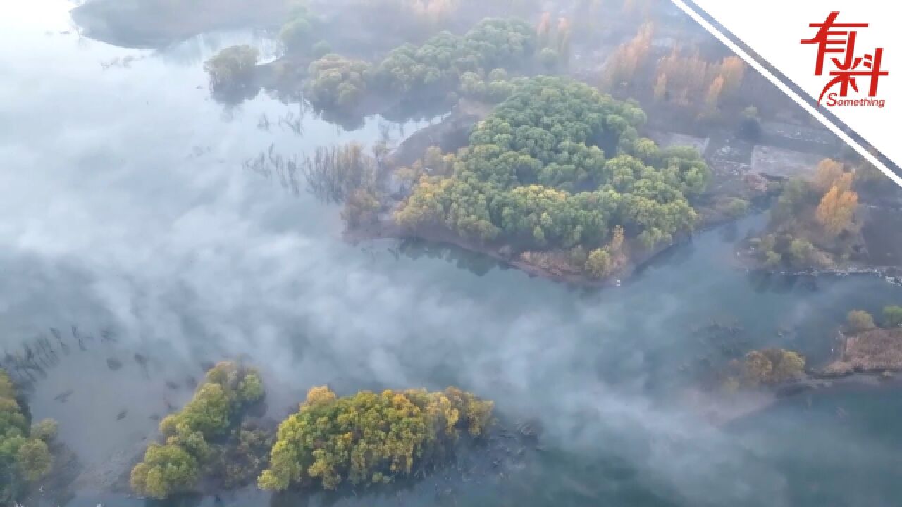 水库上空现平流雾景观 宛若云海奔腾的水墨画