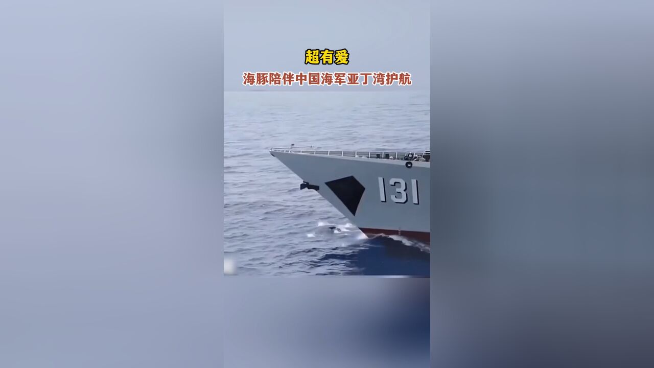 超有爱,海豚陪伴中国海军亚丁湾护航