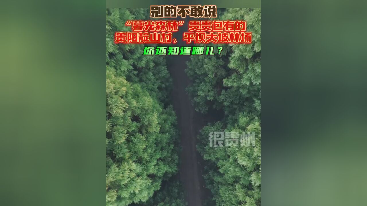 别的不敢说“暮光森林”贵贵包有的,贵阳靛山村、平坝大坡林场,你还知道哪儿?