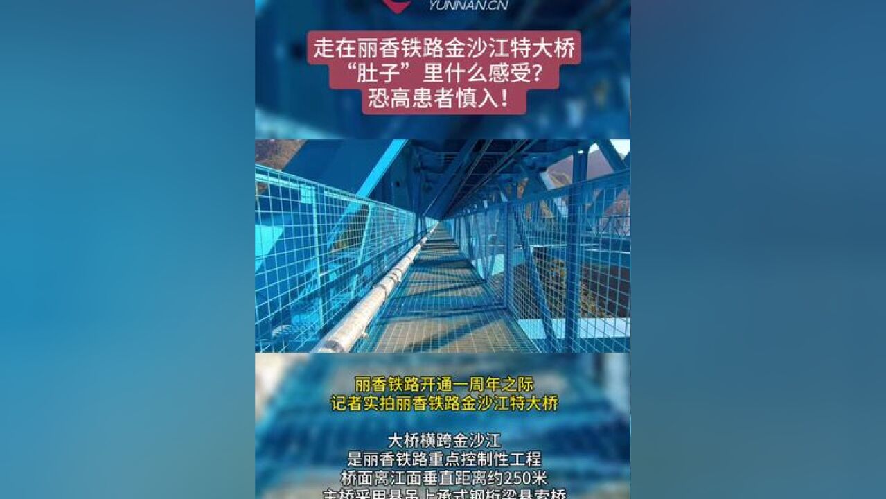 桥面离江面垂直距离约250米,主桥采用悬吊上承式钢桁梁悬索桥,大桥两端分别与玉龙雪山隧道和哈巴雪山隧道连接