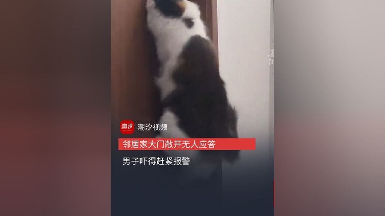 邻居见女孩家大门敞开无人应答后报警 万万没想到罪魁祸首是......