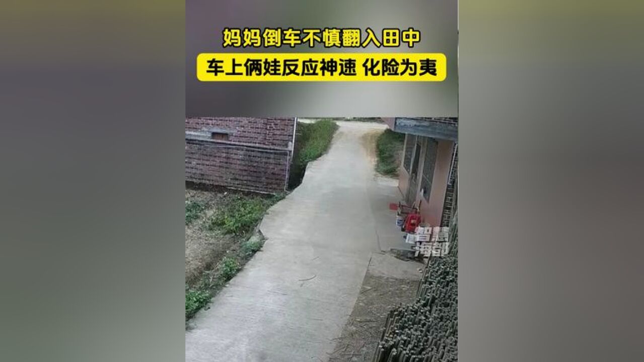 妈妈倒车不慎翻入田中,车上俩娃反应神速