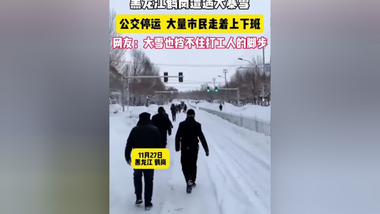 黑龙江鹤岗遭遇大暴雪,公交停运、大量市民走着上下班,网友:再大的雪也挡不住打工人的脚步