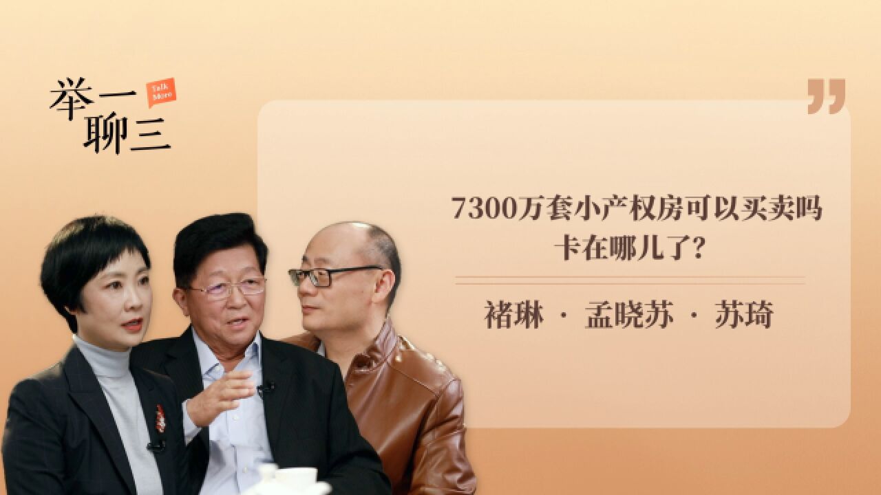 7300万套小产权房可以买卖吗,卡在哪儿了?