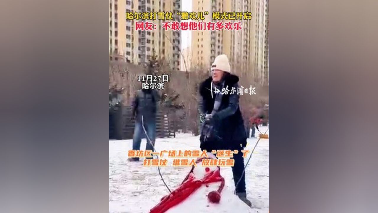 哈尔滨打雪仗“撒欢儿”模式已开启,网友:不敢想他们有多欢乐