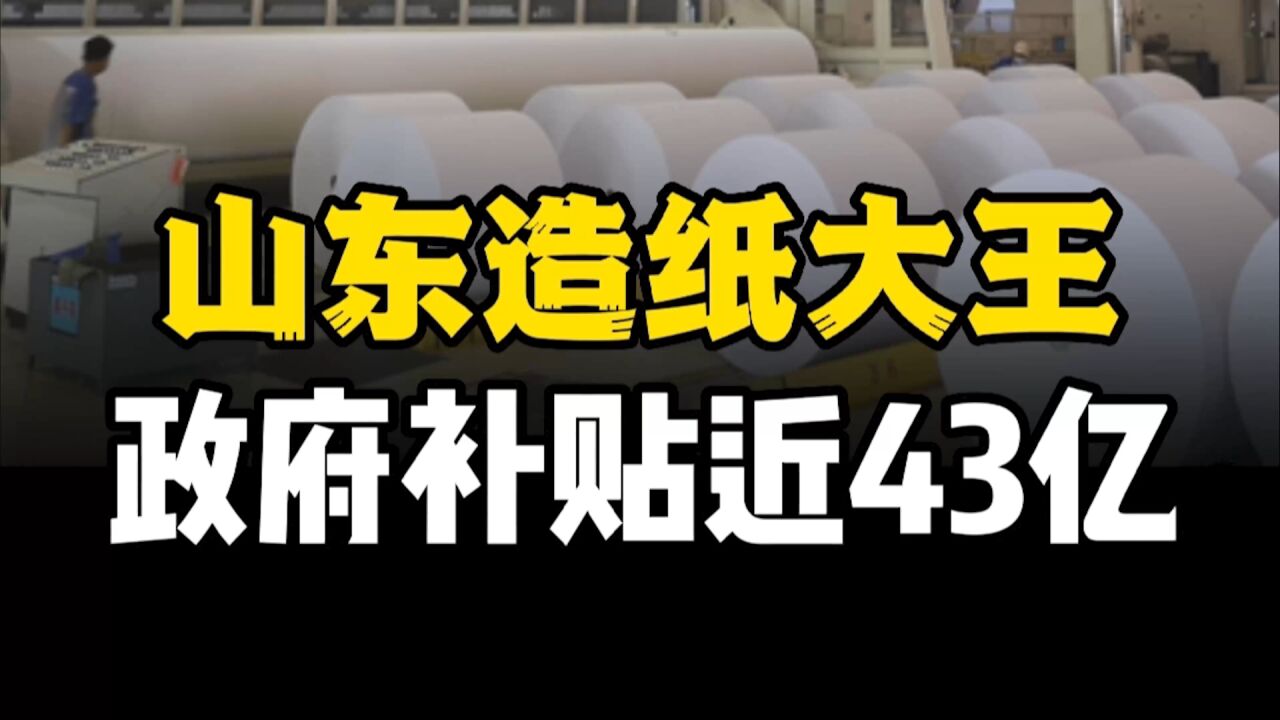 13年政府补贴近43亿,起底“造纸大王”是真本领还是全凭政府扶持