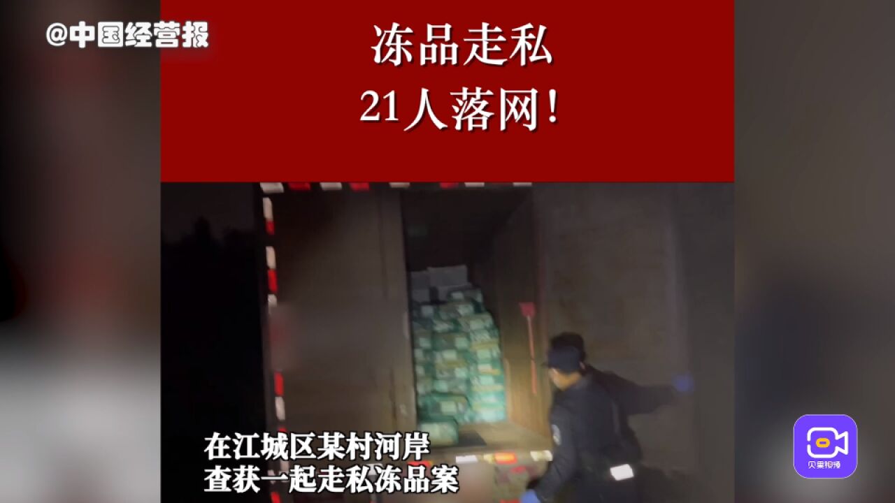 21人落网!广东阳江公安查获1起走私冻品案