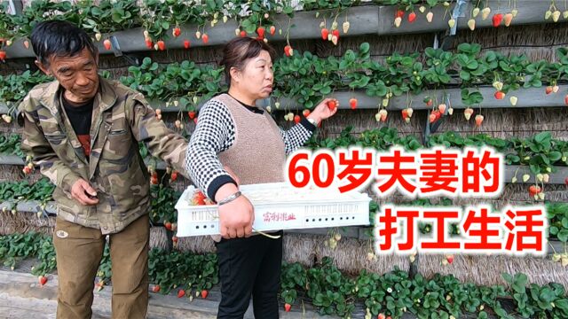 60岁丹东夫妻打工生活,100元工资一干就是11年,只因老板很特别