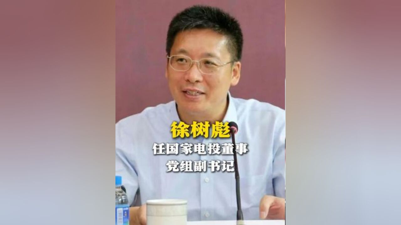 徐树彪任国家电投董事党组副书记