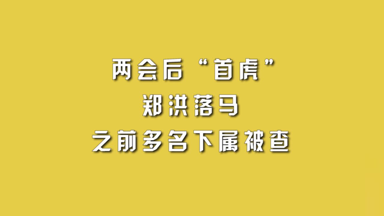 两会后“首虎”郑洪落马,之前多名下属被查