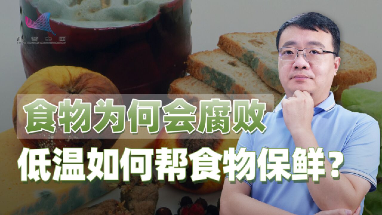 食物为何会腐败?低温是如何帮食物保鲜的?