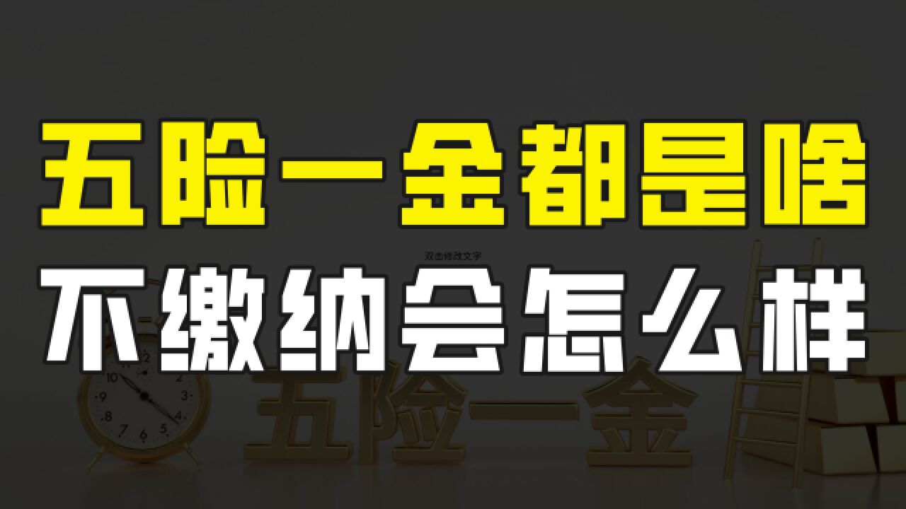 五险一金到底都是啥,有什么用?如果不缴纳会怎样,有什么影响