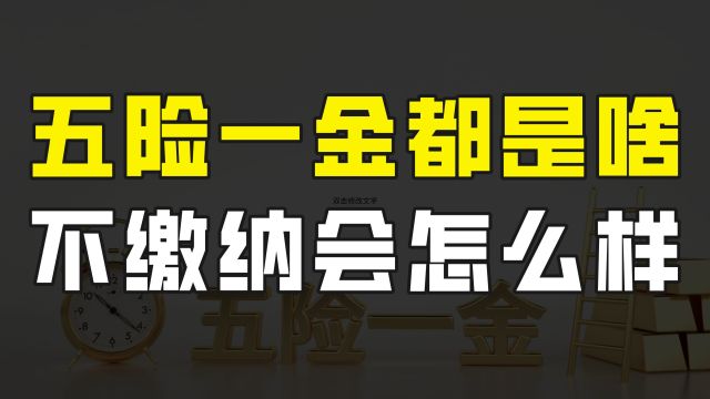 五险一金到底都是啥,有什么用?如果不缴纳会怎样,有什么影响