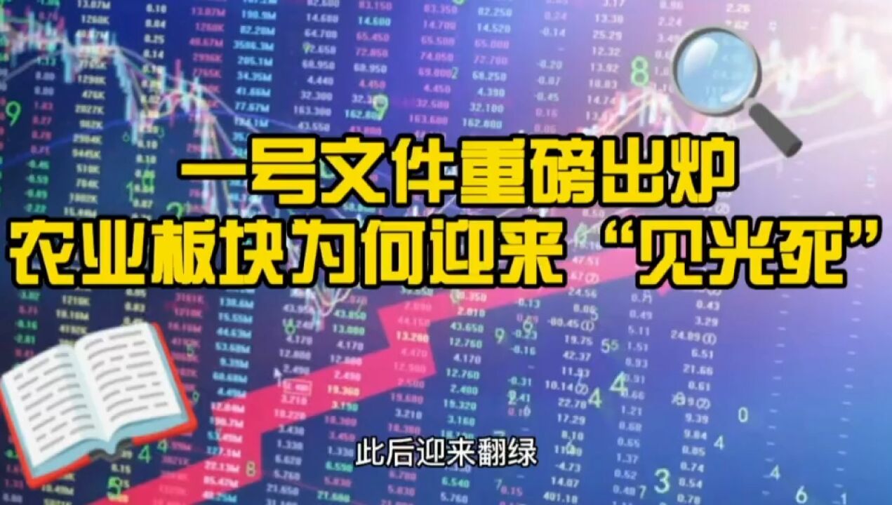 一号文件重磅出炉 大北农逼近跌停 农业板块为何“见光死”?