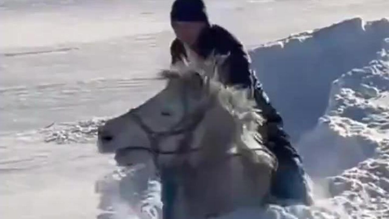 阿勒泰暴雪过后 一男子骑马在雪里艰难前行 网友:见过牛耕地,没见过马耕雪