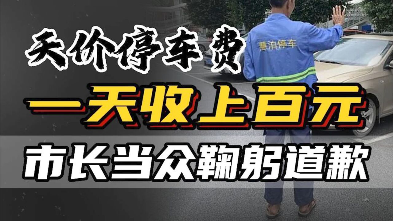 追缴6万停车费,1天收上百元却还亏损千万,南宁慧泊停车被接管