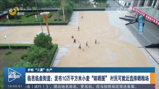 临邑临盘街道发布10万平方米小麦\