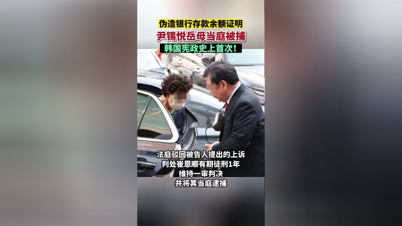 伪造银行存款余额证明,尹锡悦岳母当庭被捕