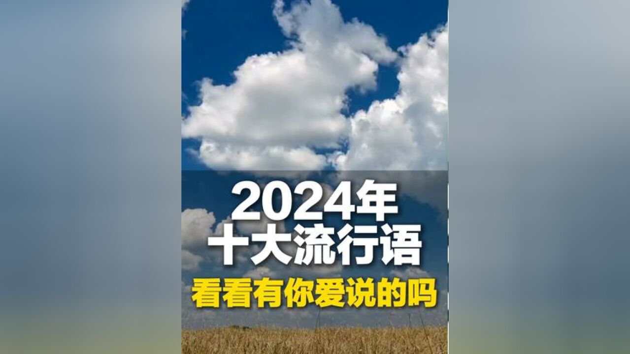 2024十大流行语发布,看看有你爱说的吗?