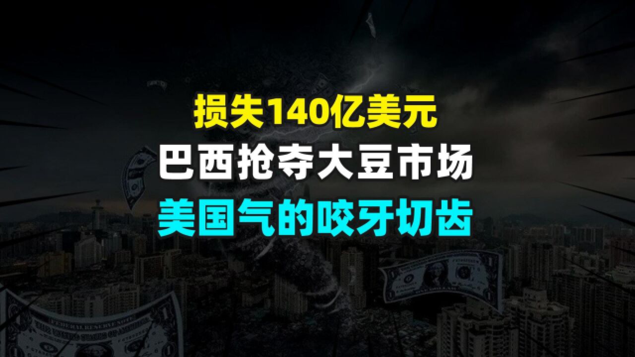 损失140亿美元,巴西抢夺大豆市场,美国气的咬牙切齿