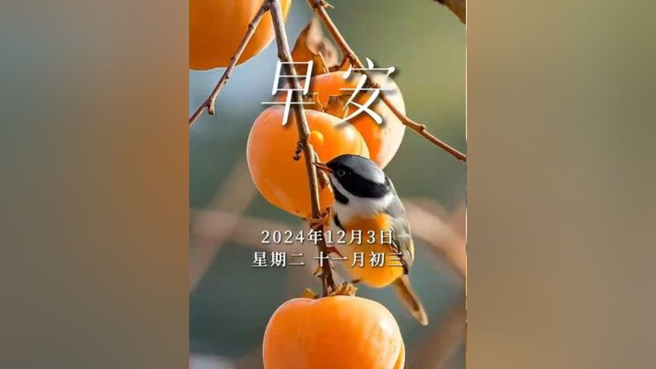 笑容,打开清晨的序幕,快乐,迎来灿烂的日出,问候,带去心中的祝福,健康,陪伴彼此前行,早安!