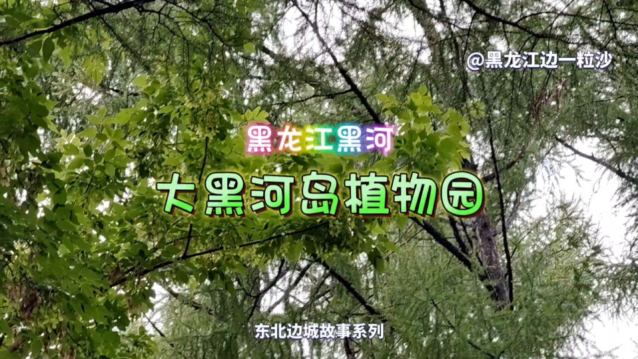 一年四季,有时间就会去走走:中俄界江黑龙江上的大黑河岛植物园