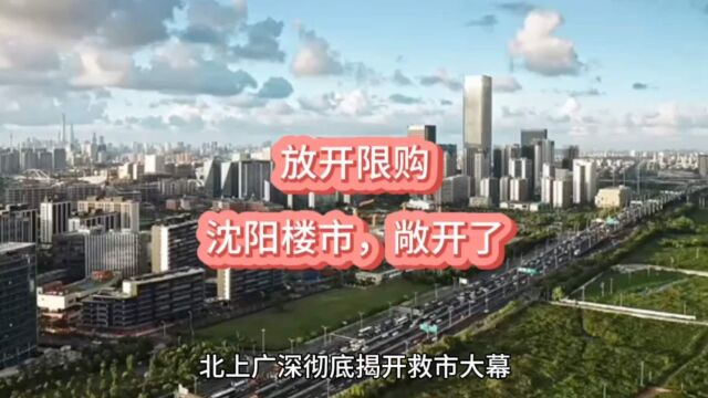 沈阳楼市,敞开了!