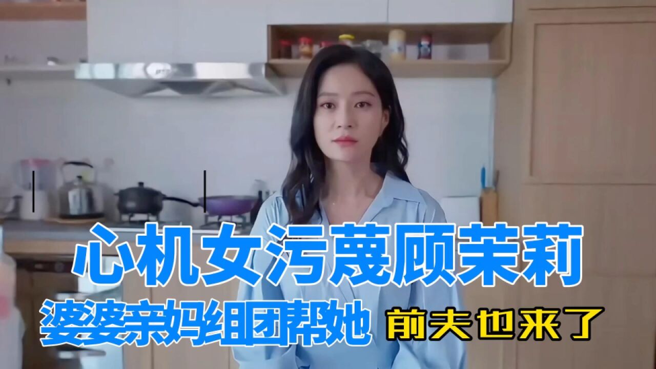 《小日子》小三污蔑顾茉莉,婆婆亲妈组团帮她撕小三,前夫也来了