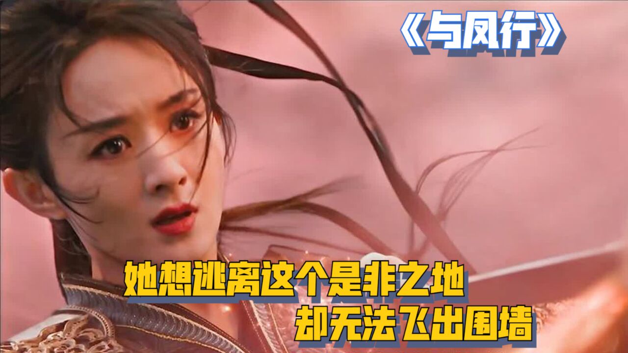 仙女坠落凡间变成山鸡,她想逃离这个是非之地,却无法飞出围墙