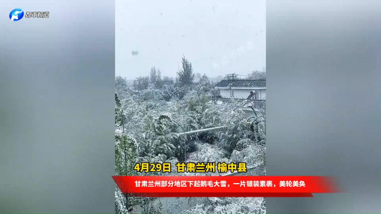 甘肃兰州部分地区下起鹅毛大雪,一片银装素裹,美轮美奂