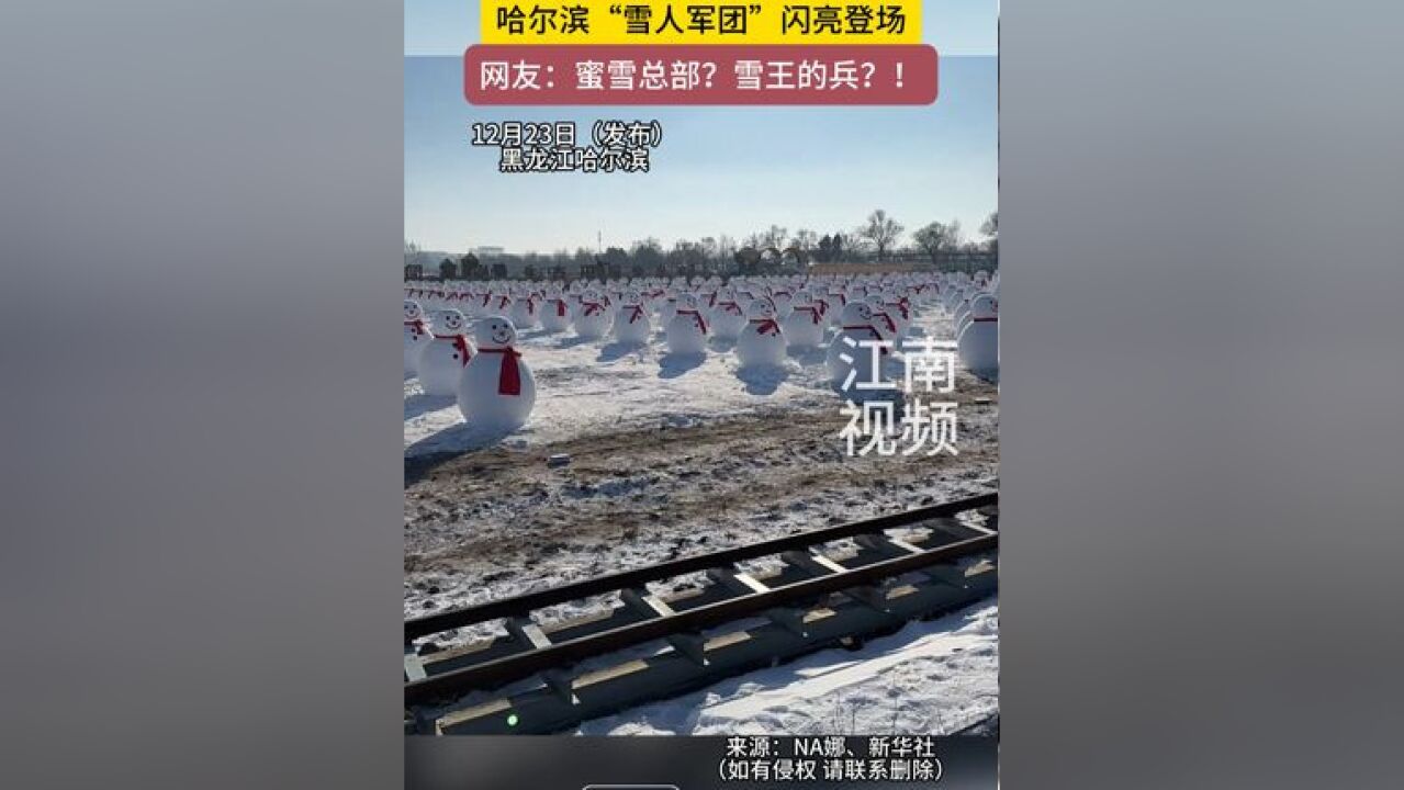 12月23日黑龙江哈尔滨,东北人有自己的“冰马俑”,哈尔滨“雪人军团”闪亮登场,网友:蜜雪总部?雪王的兵?!