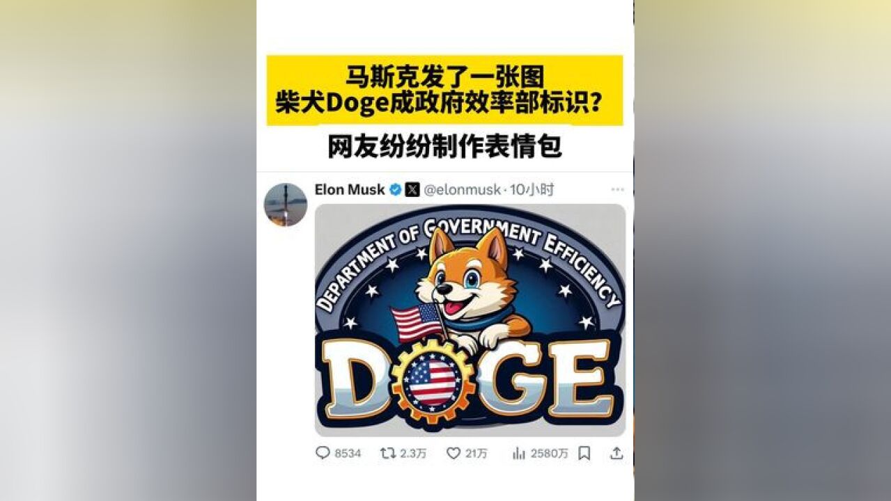 马斯克发了一张图,柴犬Doge成“政府效率部”标识? 网友纷纷制作表情包