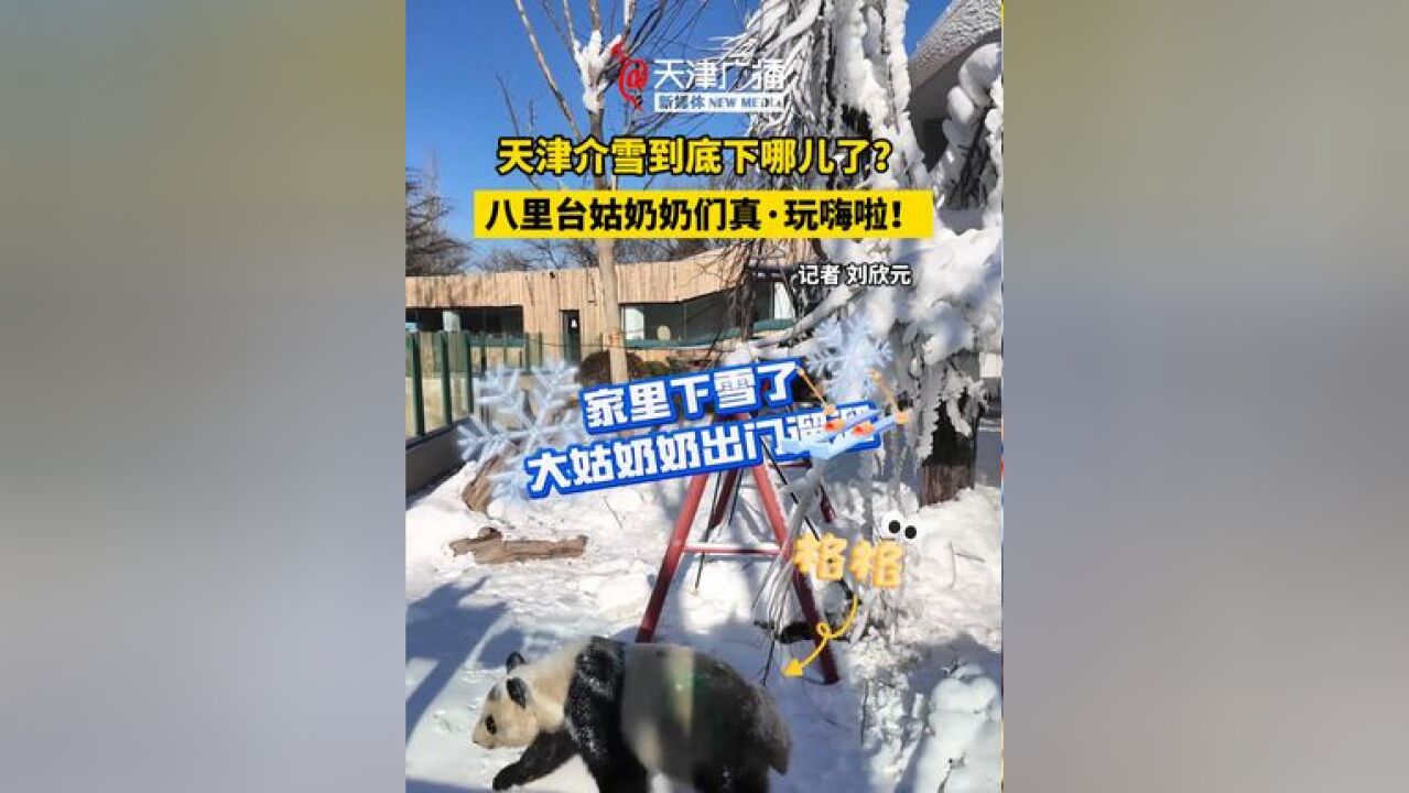 天津介雪到底下哪了?八里台姑奶奶们真ⷧŽ饗襕桀