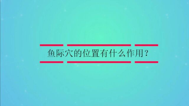 鱼际穴的位置有什么作用?