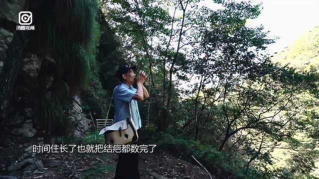 24小时@福建森林公安