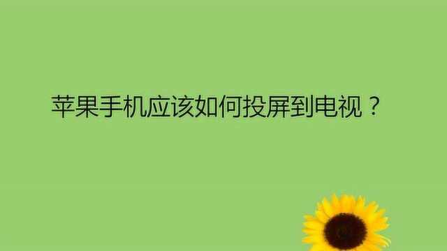 苹果手机应该如何投屏到电视?