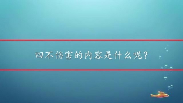 四不伤害的内容是什么呢?