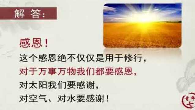 《忏悔问答》忏悔能消业吗?