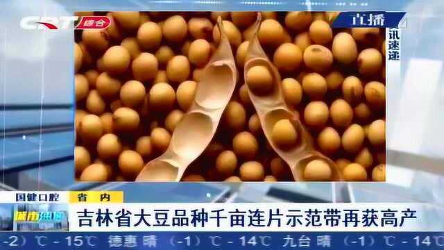 测产结果出炉!吉林省大豆品种千亩连片示范带再获高产