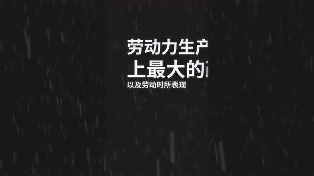 分工,看亚当斯密的《国富论》是如何分析的