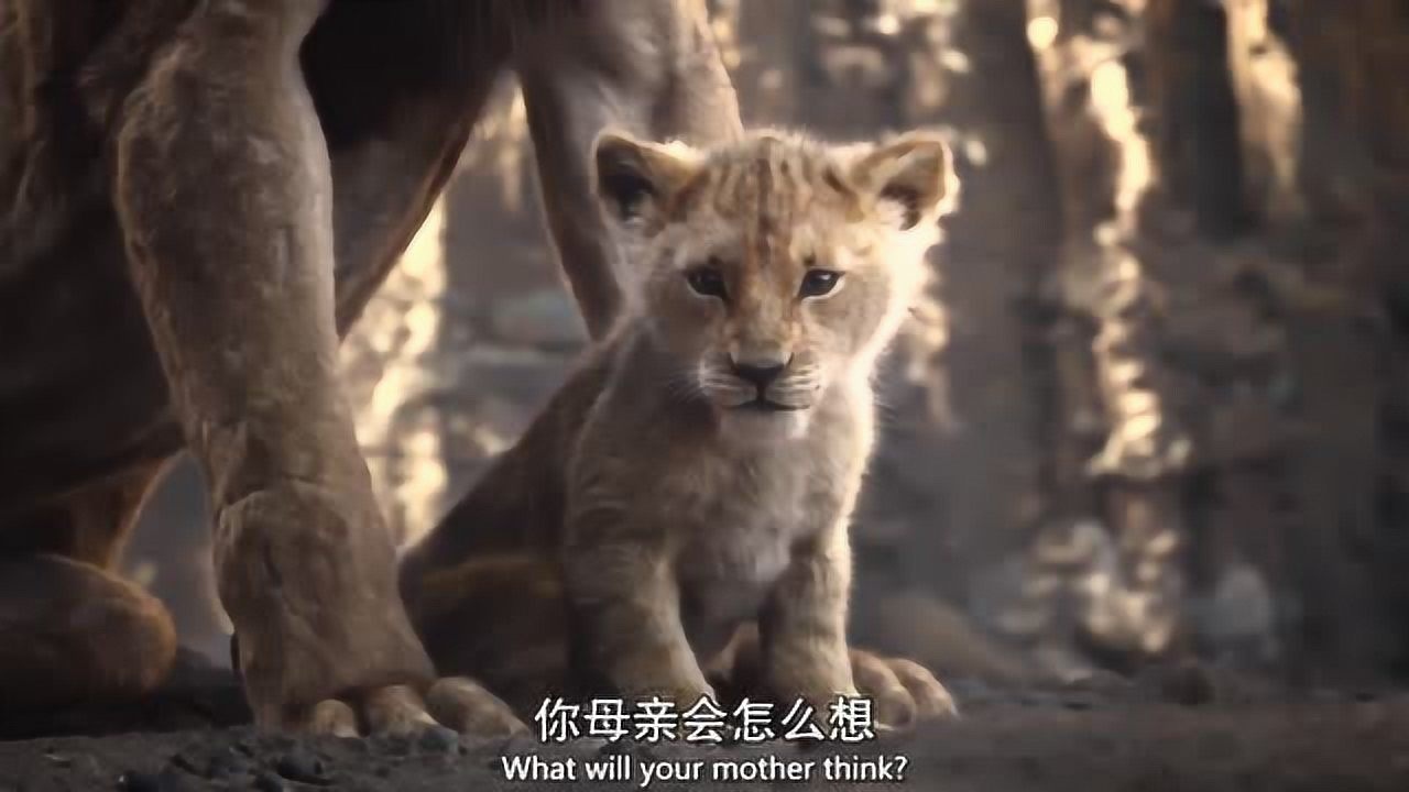 狮子王真狮版叔叔刀疤命令非洲二哥鬣狗追杀小狮子辛巴谋权篡位