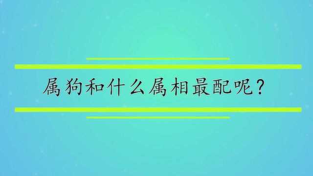 属狗和什么属相最配呢?