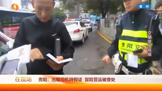 出租车司机持假证,冒险营运被查处