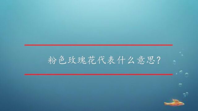 粉色玫瑰花代表什么意思?