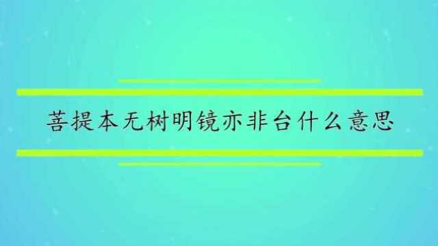 菩提本无树明镜亦非台什么意思